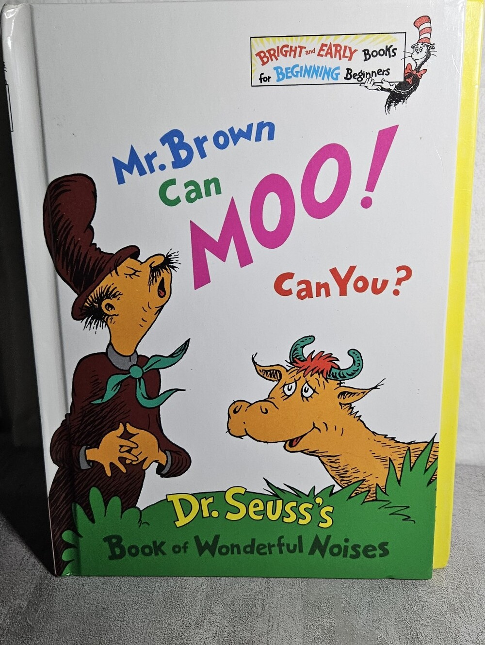 12 Great Kids Books - Picture 4 of 15
